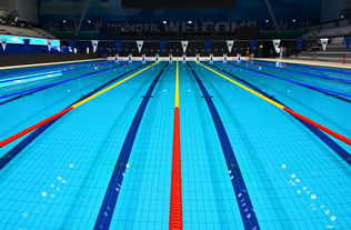 爱游戏真人体育娱乐-体坛记忆｜福冈世锦赛蝶泳决赛，张雨霏最后5米不换气狂冲，逆袭夺金